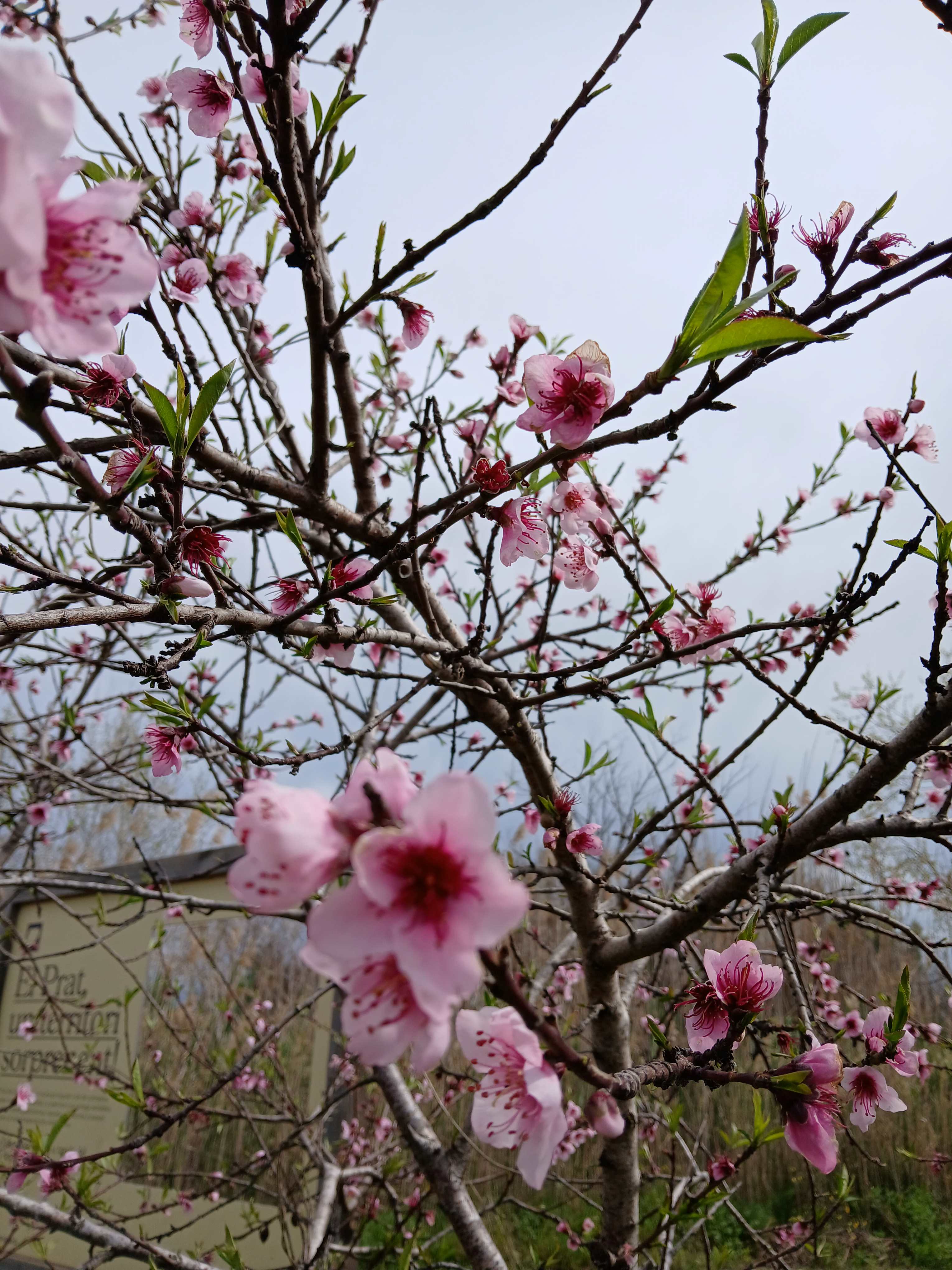 No s'ha trobat l'arxiu